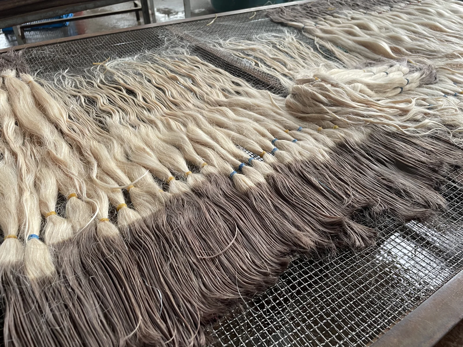 Prepared hair batches laid out during production